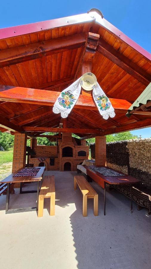 Pensiunea Montana Săpînţa Exterior foto